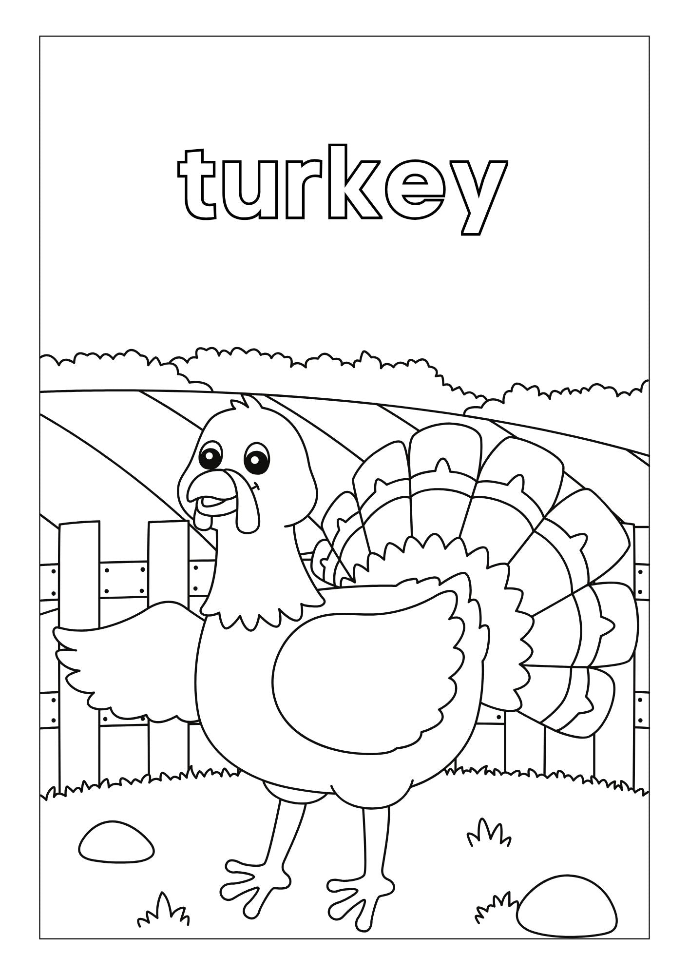 Animals Habitat Colouring Book
