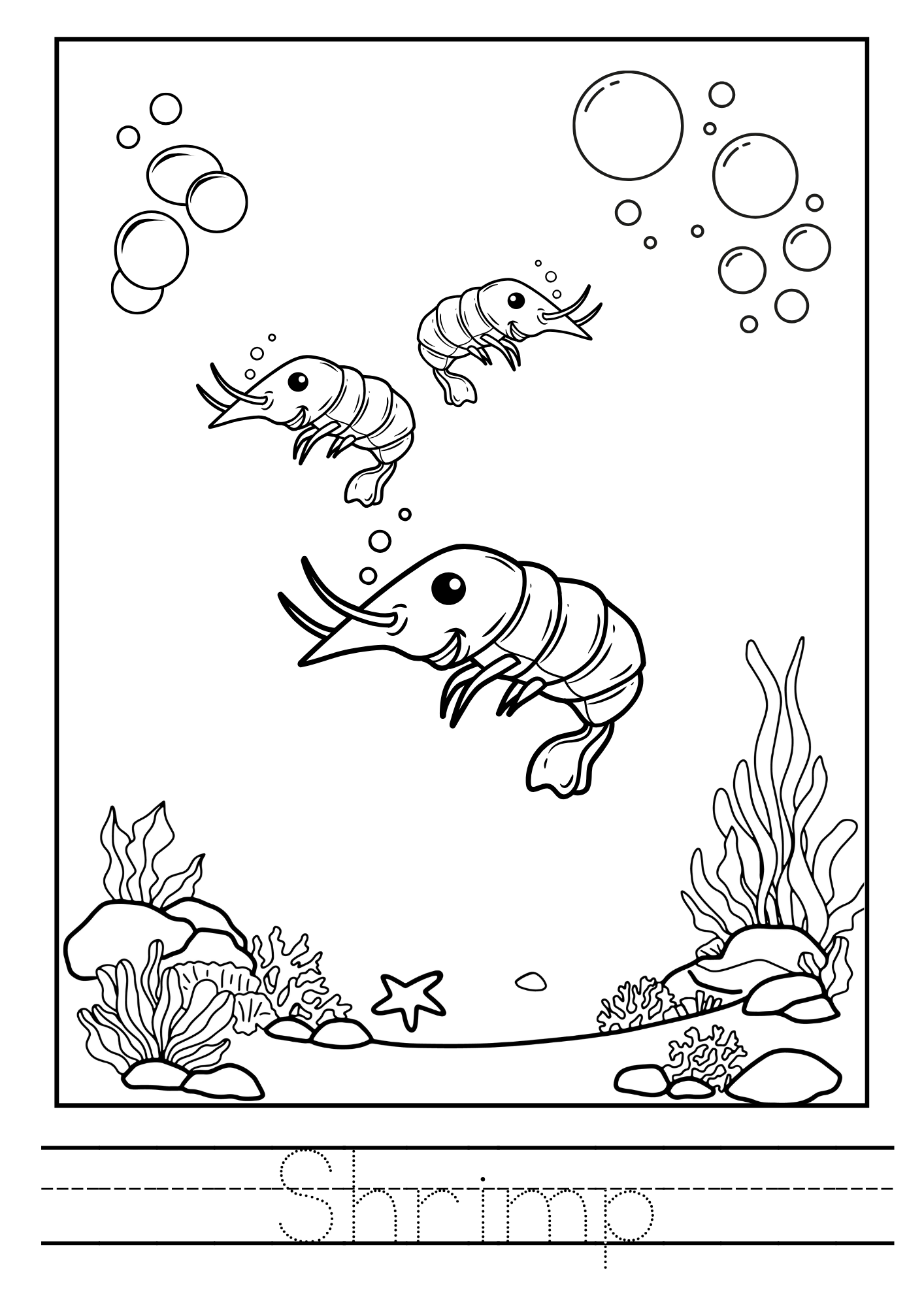 Sea Animals Colouring Book