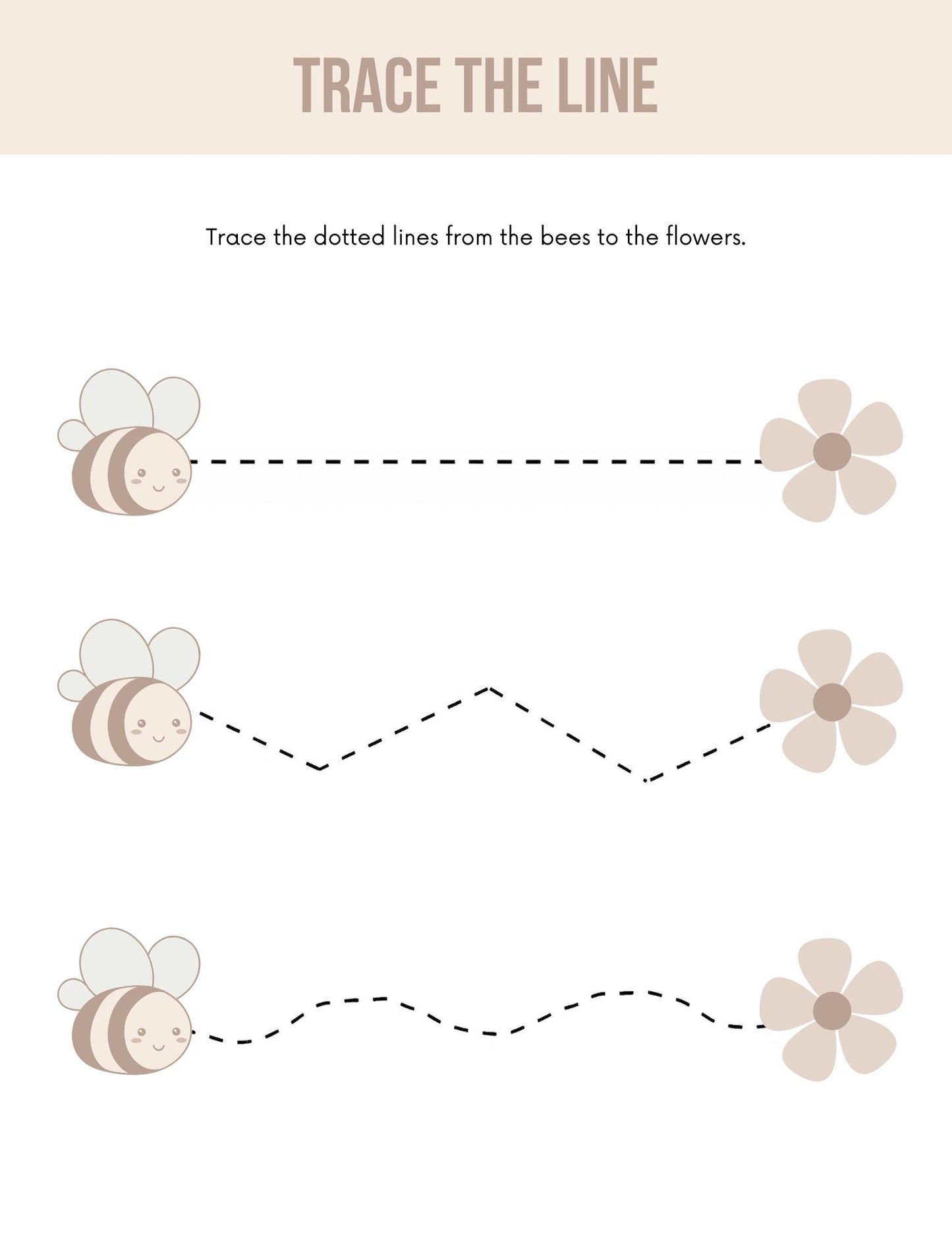 Toddler Workbook