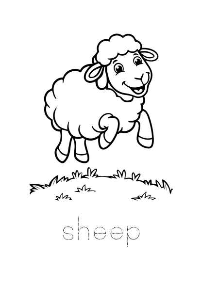 Animal Colouring Book