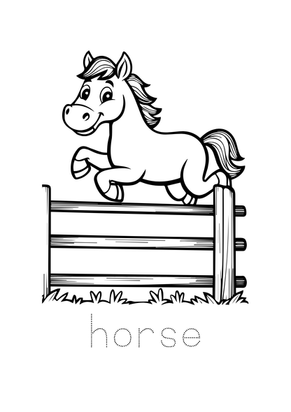 Animal Colouring Book