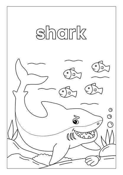 Animals Habitat Colouring Book