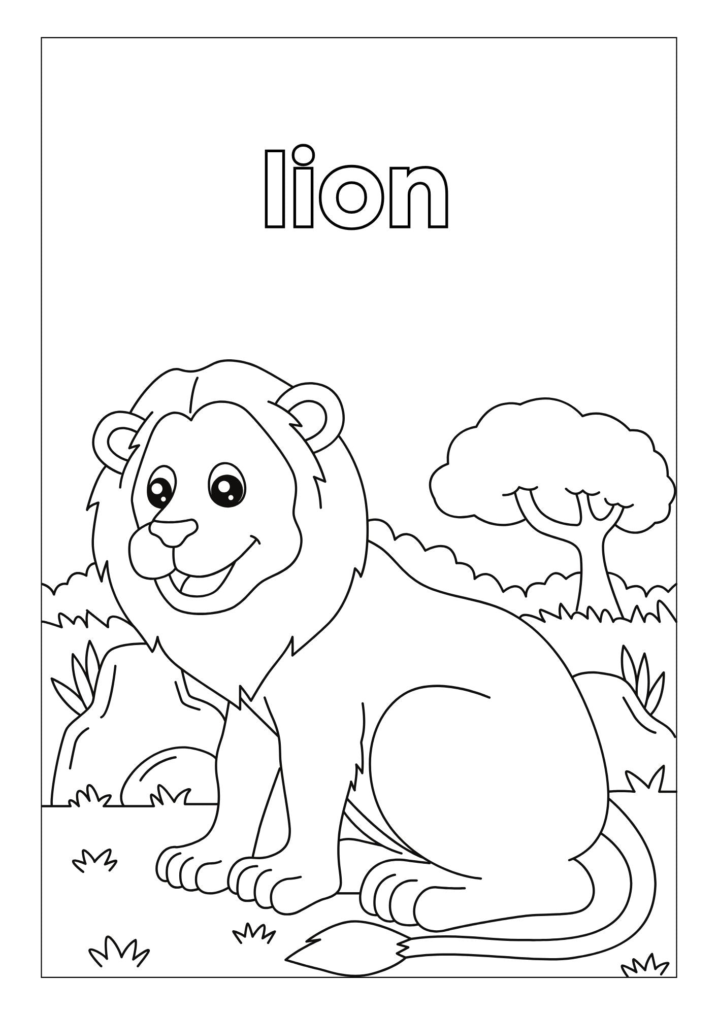 Animals Habitat Colouring Book