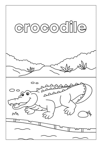 Animals Habitat Colouring Book