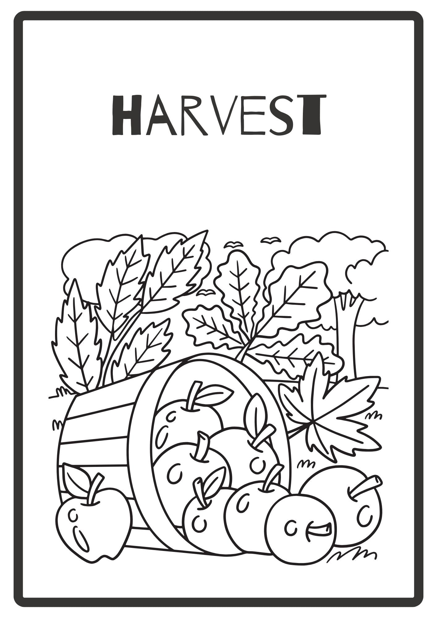 Autumn Colouring Book