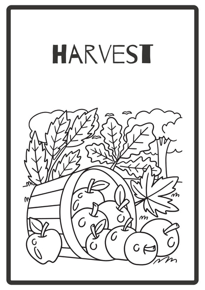 Autumn Colouring Book