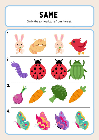 Same And Different Activity Book Worksheet