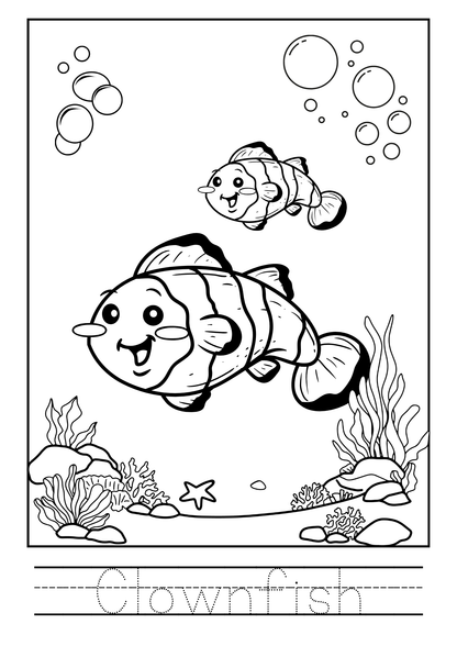 Sea Animals Colouring Book