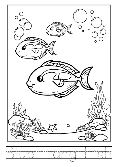 Sea Animals Colouring Book